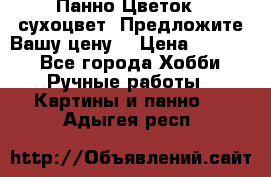 Панно Цветок - сухоцвет. Предложите Вашу цену! › Цена ­ 4 000 - Все города Хобби. Ручные работы » Картины и панно   . Адыгея респ.